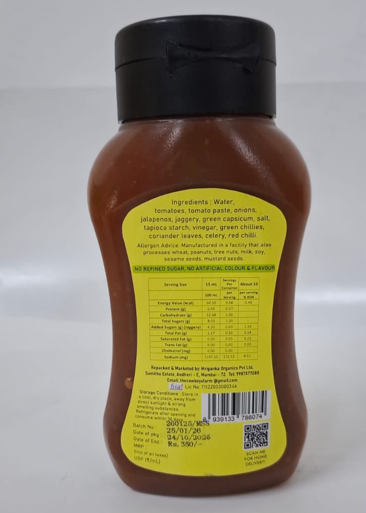 Spiced Mexican Salsa Sauce (295 ml)