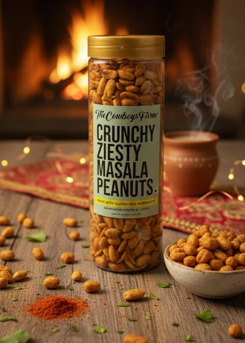 Crunchy Zingy Masala Peanuts (290 gms)